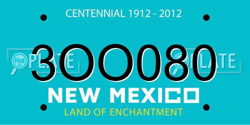 3OO080 New Mexico License Plate