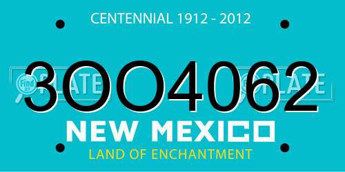 3OO4062 New Mexico License Plate