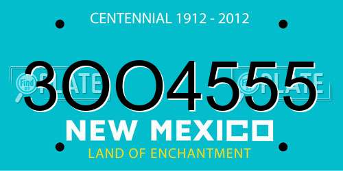3OO4555 New Mexico License Plate