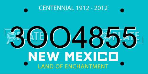 3OO4855 New Mexico License Plate