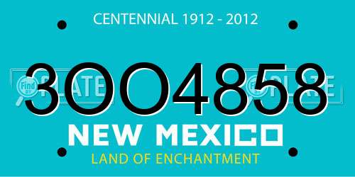 3OO4858 New Mexico License Plate