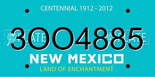 3OO4885 New Mexico License Plate