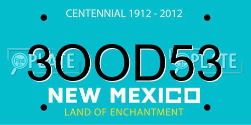 3OOD53 New Mexico License Plate
