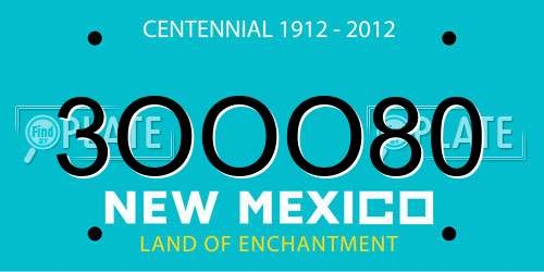 3OOO80 New Mexico License Plate