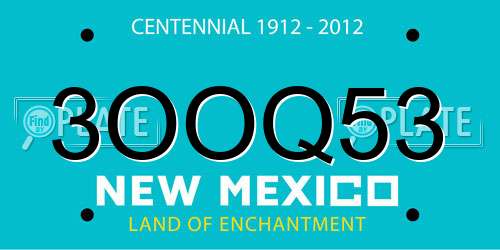 3OOQ53 New Mexico License Plate