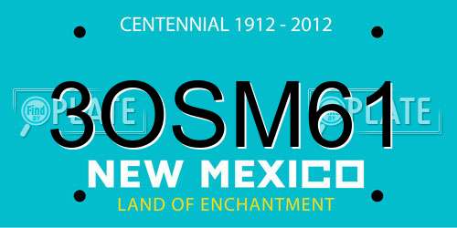 3OSM61 New Mexico License Plate