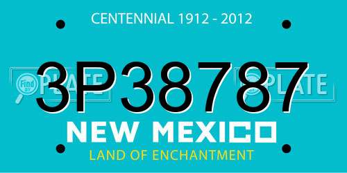 3P38787 New Mexico License Plate