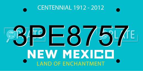 3PE8757 New Mexico License Plate