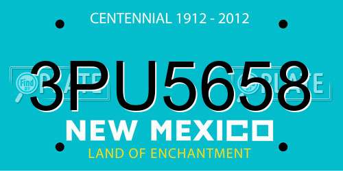 3PU5658 New Mexico License Plate