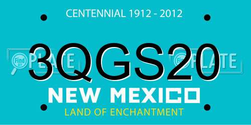 3QGS20 New Mexico License Plate