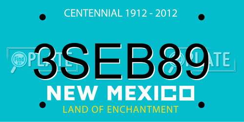 3SEB89 New Mexico License Plate