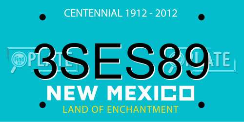 3SES89 New Mexico License Plate