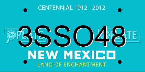 3SSO48 New Mexico License Plate