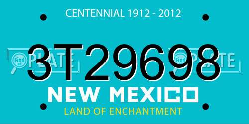 3T29698 New Mexico License Plate