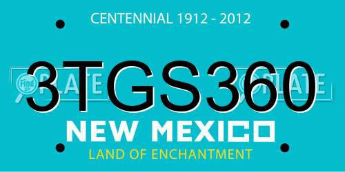 3TGS360 New Mexico License Plate