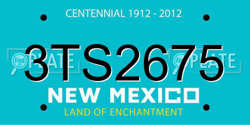3TS2675 New Mexico License Plate
