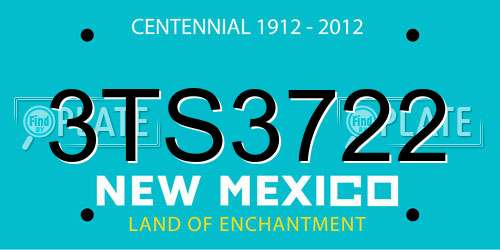 3TS3722 New Mexico License Plate