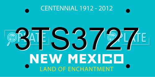 3TS3727 New Mexico License Plate