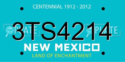 3TS4214 New Mexico License Plate