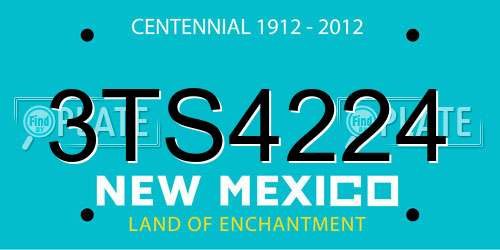 3TS4224 New Mexico License Plate