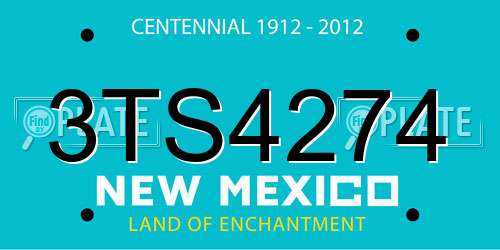 3TS4274 New Mexico License Plate