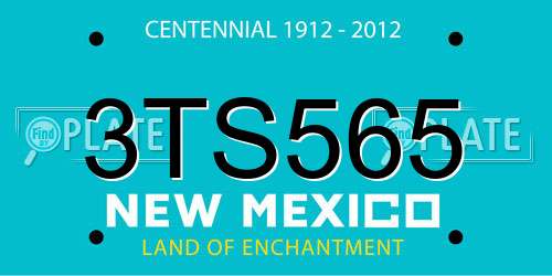 3TS565 New Mexico License Plate