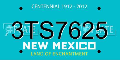 3TS7625 New Mexico License Plate