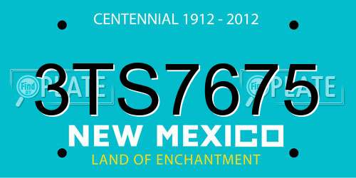 3TS7675 New Mexico License Plate