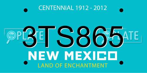 3TS865 New Mexico License Plate