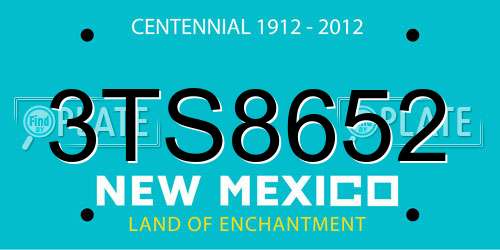 3TS8652 New Mexico License Plate