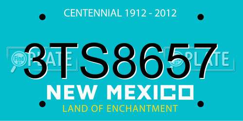 3TS8657 New Mexico License Plate