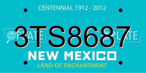 3TS8687 New Mexico License Plate