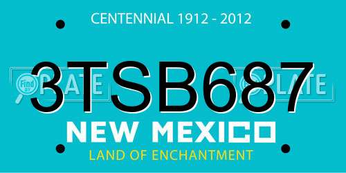 3TSB687 New Mexico License Plate