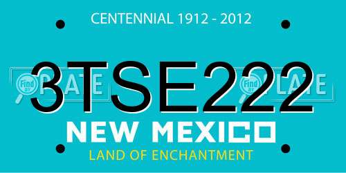 3TSE222 New Mexico License Plate