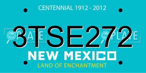 3TSE272 New Mexico License Plate