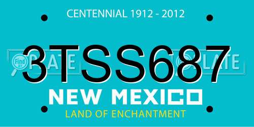 3TSS687 New Mexico License Plate
