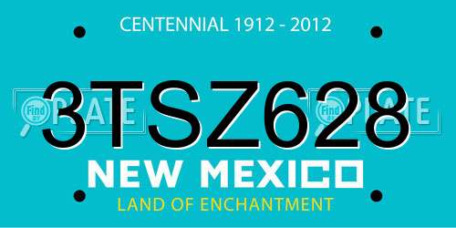 3TSZ628 New Mexico License Plate
