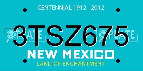 3TSZ675 New Mexico License Plate
