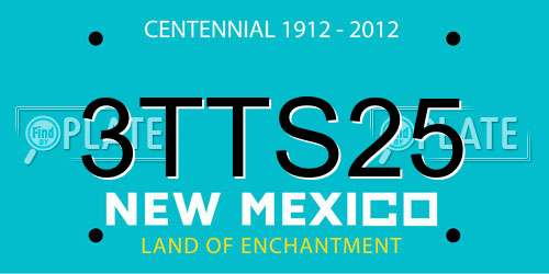 3TTS25 New Mexico License Plate