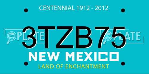 3TZB75 New Mexico License Plate