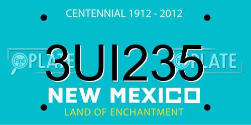 3UI235 New Mexico License Plate