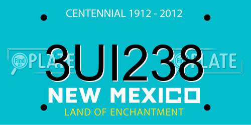 3UI238 New Mexico License Plate