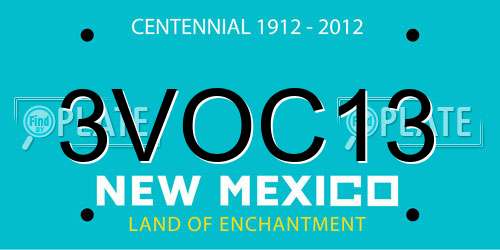 3VOC13 New Mexico License Plate