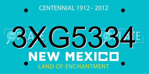3XG5334 New Mexico License Plate