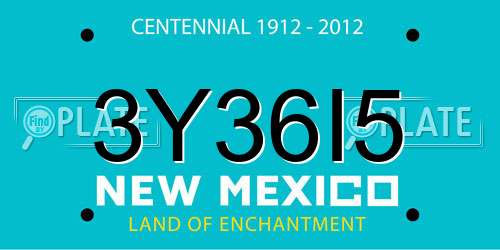 3Y36I5 New Mexico License Plate