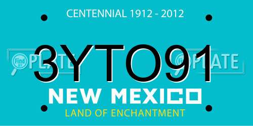 3YTO91 New Mexico License Plate
