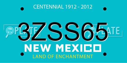 3ZSS65 New Mexico License Plate