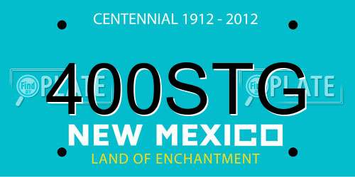 400STG New Mexico License Plate
