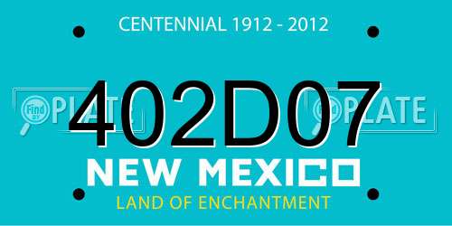 402D07 New Mexico License Plate