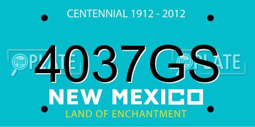 4037GS New Mexico License Plate